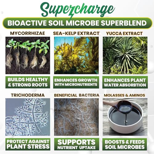 Mycorrhizal Fungi with Beneficial Bacteria, Trichoderma, Sea Kelp, Molasses, Yucca, Smart Grower Supercharge Plant Root Enhancer 2oz Super Concentrate Powder Makes 25 Gallons
