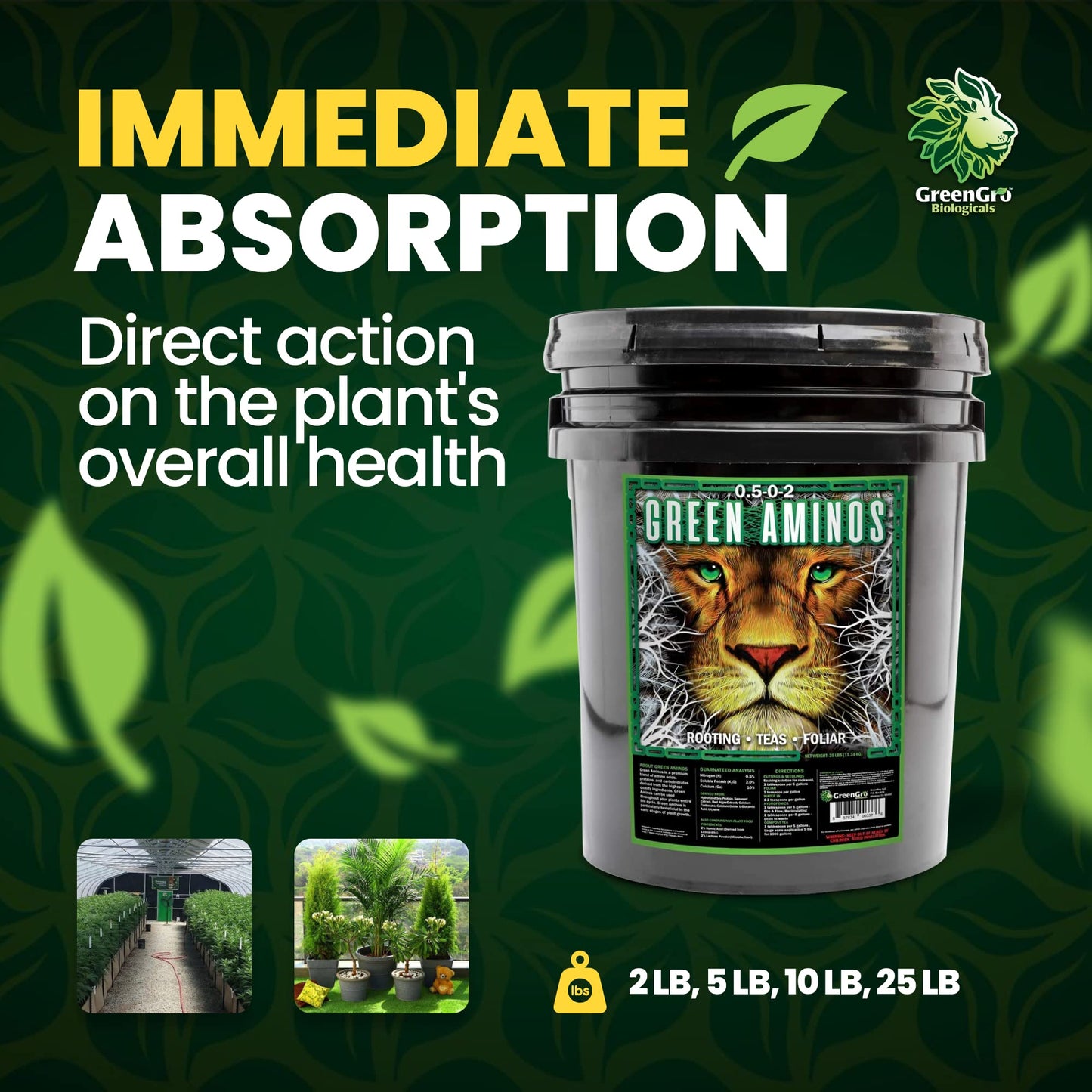 GreenGro Green Aminos, Rooting Stimulator Blend with Amino Acids and Nutrients for Potting Mix, Soils, Cuttings, and Hydroponic Gardens, Organic Plant Food for Indoor and Outdoor Plants