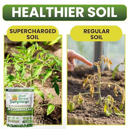 Mycorrhizal Fungi with Beneficial Bacteria, Trichoderma, Sea Kelp, Molasses, Yucca, Smart Grower Supercharge Plant Root Enhancer 2oz Super Concentrate Powder Makes 25 Gallons