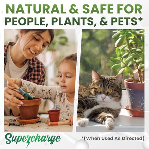 Mycorrhizal Fungi with Beneficial Bacteria, Trichoderma, Sea Kelp, Molasses, Yucca, Smart Grower Supercharge Plant Root Enhancer 2oz Super Concentrate Powder Makes 25 Gallons