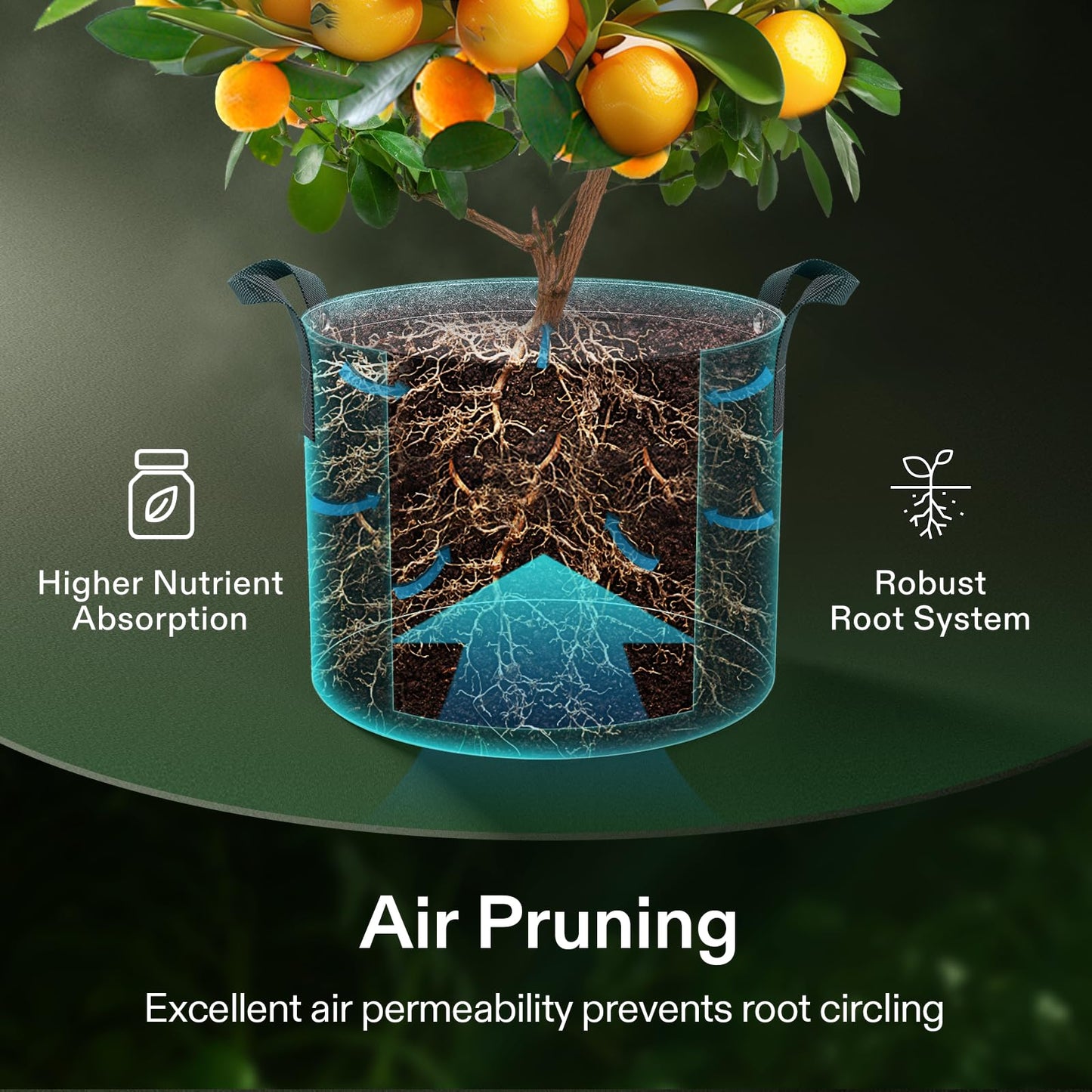 VIVOSUN 5-Pack 5 Gallon Grow Bags, 500G Thick Nonwoven Fabric Pots with Strap Handles, Multi-Purpose Rings, for Low Stress Plant Training Fruits, Vegetables, and Flowers