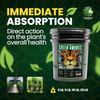 GreenGro Green Aminos, Rooting Stimulator Blend with Amino Acids and Nutrients for Potting Mix, Soils, Cuttings, and Hydroponic Gardens, Organic Plant Food for Indoor and Outdoor Plants