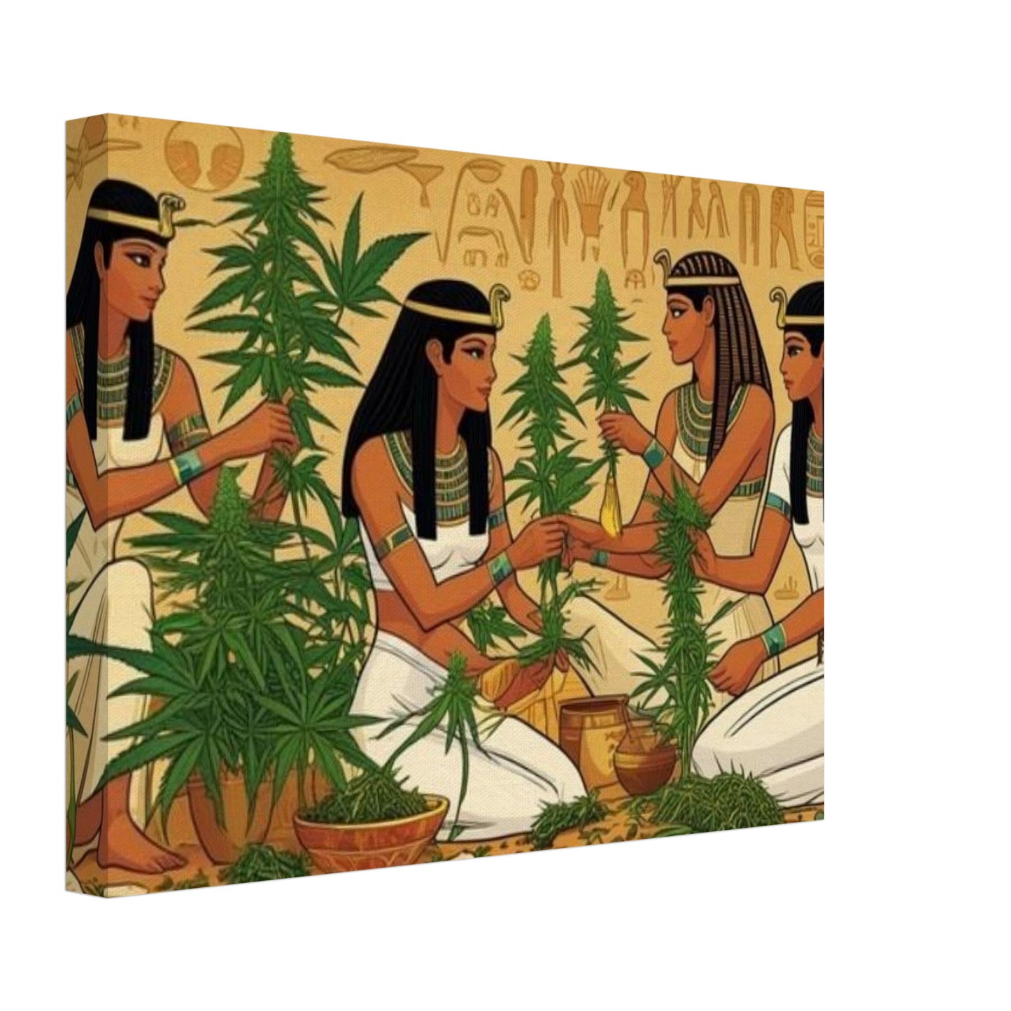 Egyptian Ladies Ganjabis